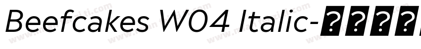 Beefcakes W04 Italic字体转换